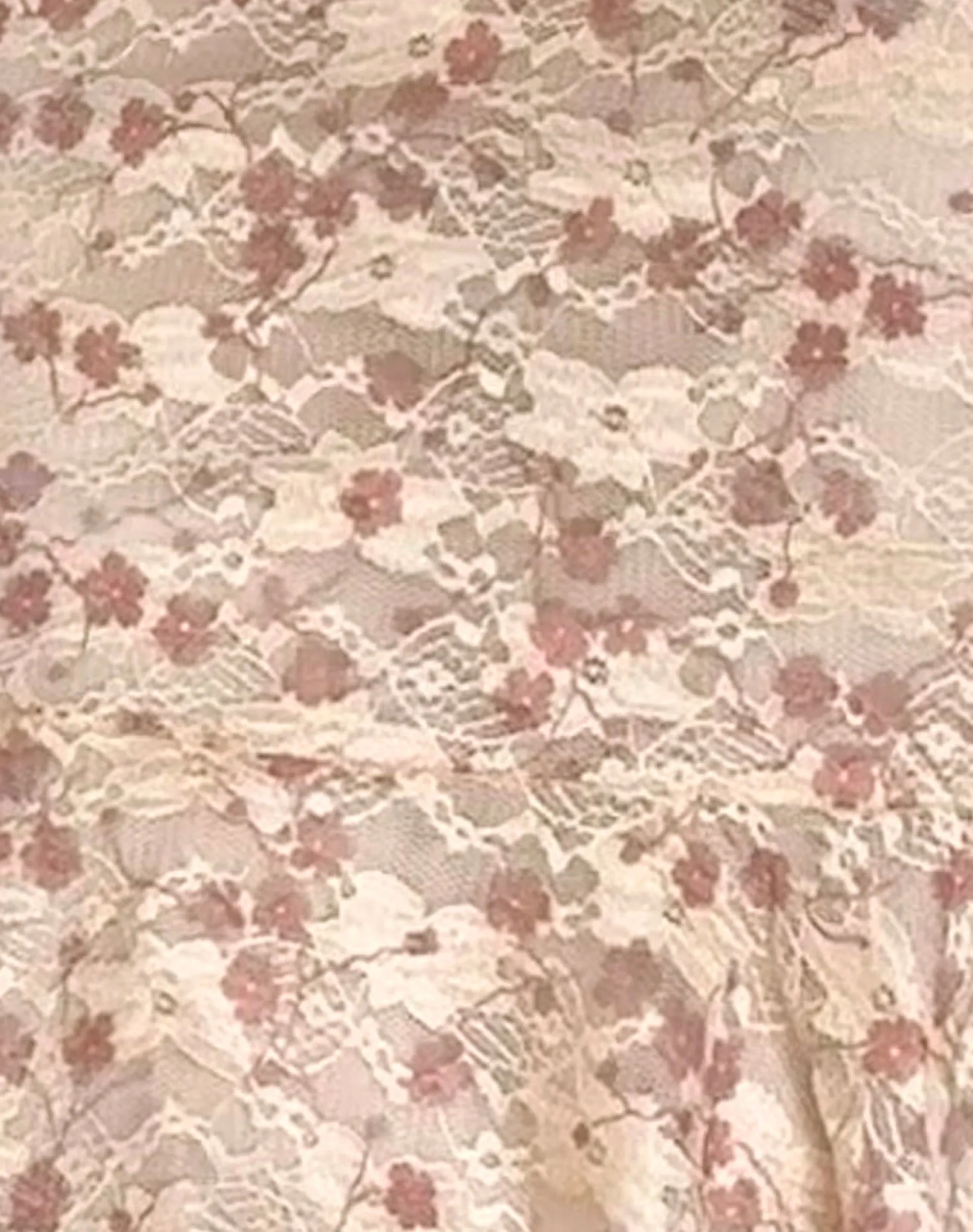 Motel Rocks Printed Dresses | Mini Dresses-Akmu Mini Dress in Chic Petal Pink Lace