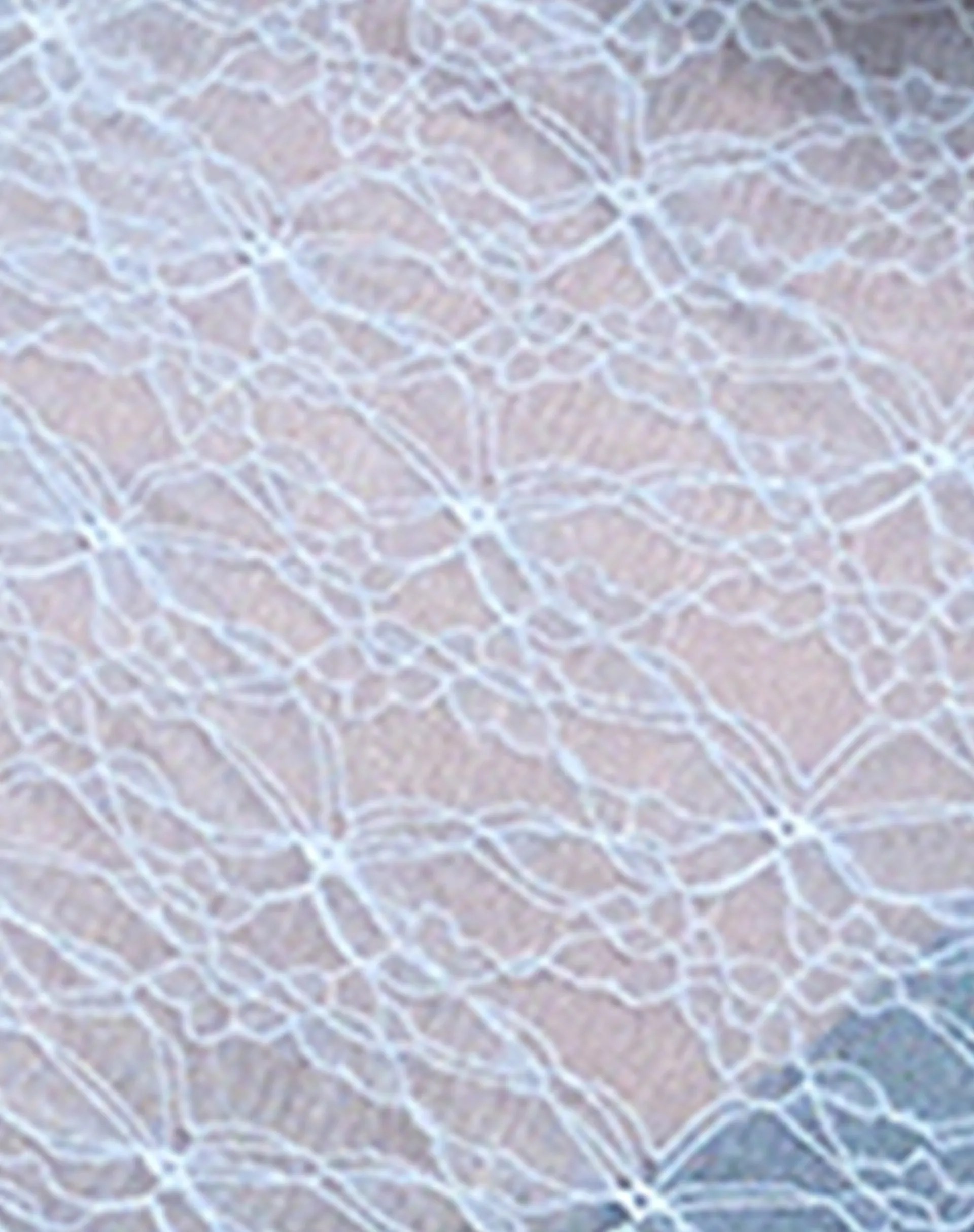 Motel Rocks Lace Tops | Long Sleeve Tops-Amabon Long Sleeve Top in Lace Baby Blue LaceBabyBlue