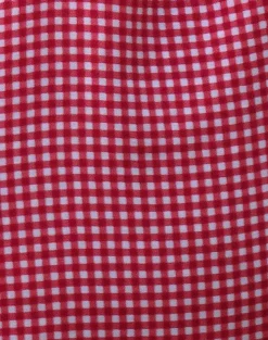 Motel Rocks Swimwear-Brie Frill Tote Bag in Red Gingham