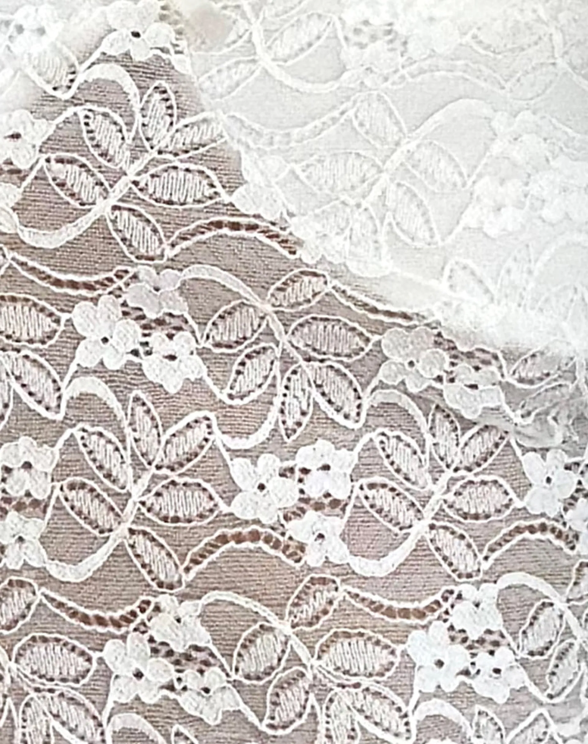Motel Rocks Co-Ords | Strappy Tops-Brietta Cami Top in Lace Ivory LaceIvory