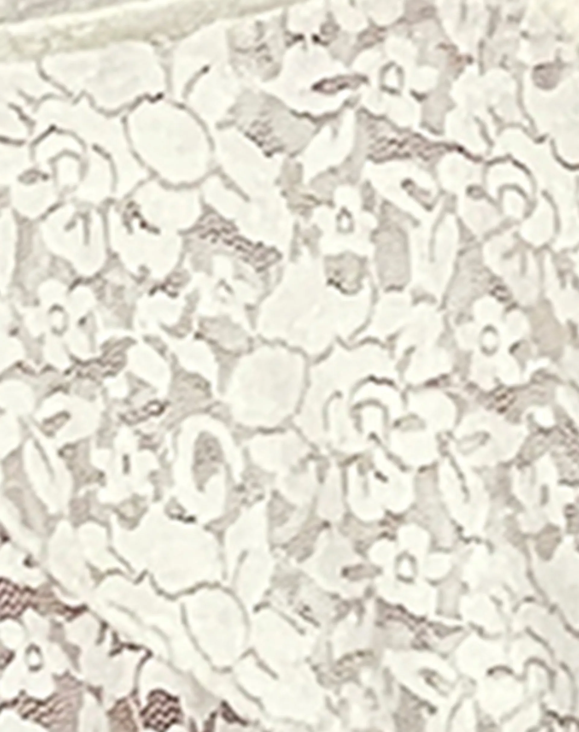 Motel Rocks Co-Ords | Strappy Tops-Cojira Lace Butterfly Top in Ivory