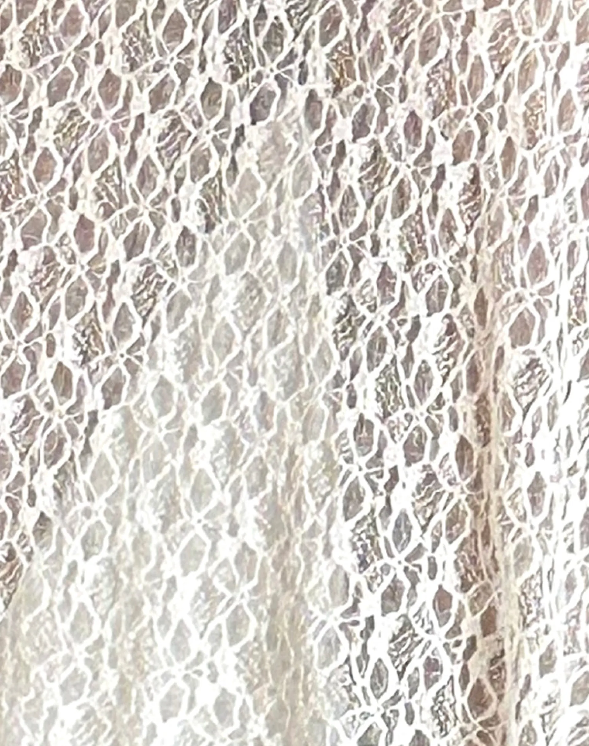 Motel Rocks A Line Skirts | Midi Skirts-Dendro Midi Skirt in Lace Ivory