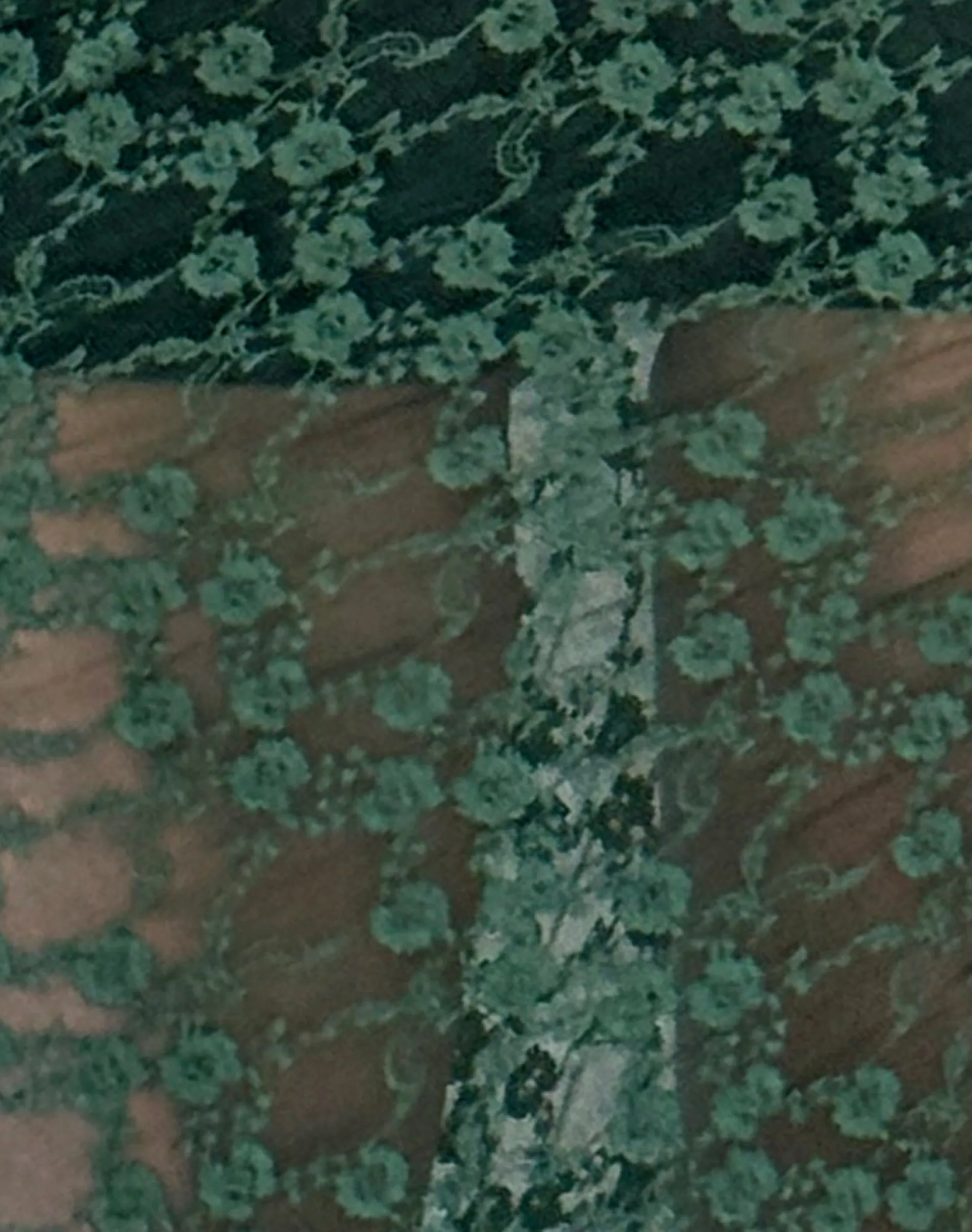 Motel Rocks Co-Ords | A Line Skirts-Diri Unlined Midi Skirt in Sage Canina Rose Lace