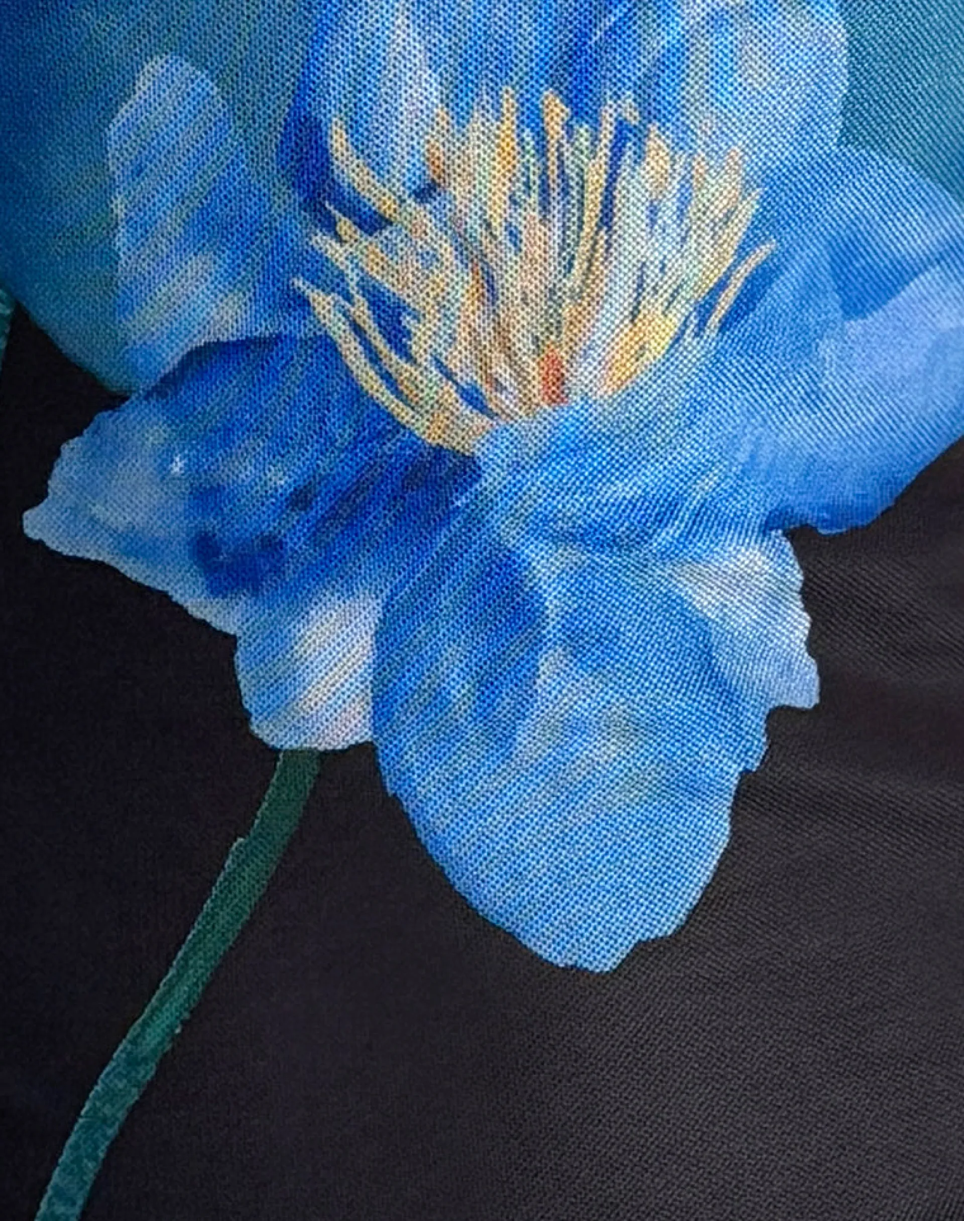 Motel Rocks Vest Tops | Printed Tops-Hala Top in Black with Blue Watercolour Flower BlackwithBlueWatercolourFlower