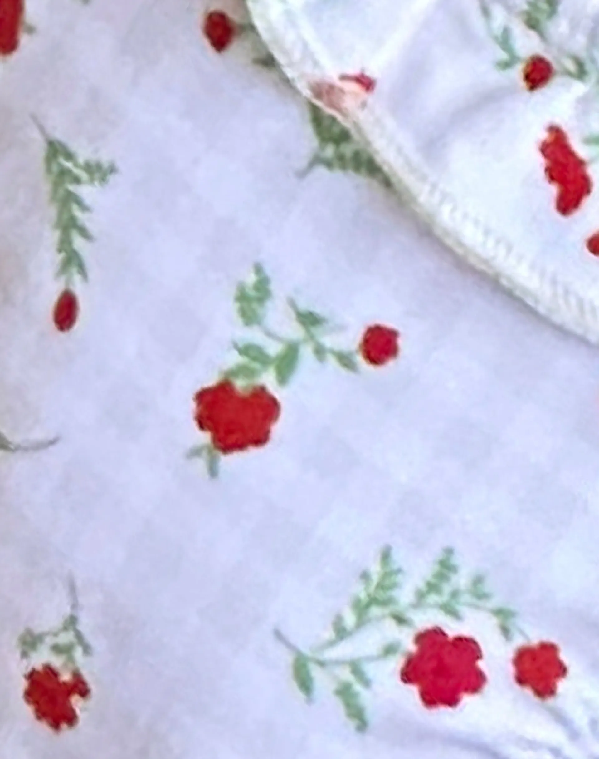 Motel Rocks Swimwear-Lentra Bikini Bottom in Red Floral Beige Gingham with Ruffle RedFloralBeigeGinghamwithRuffle