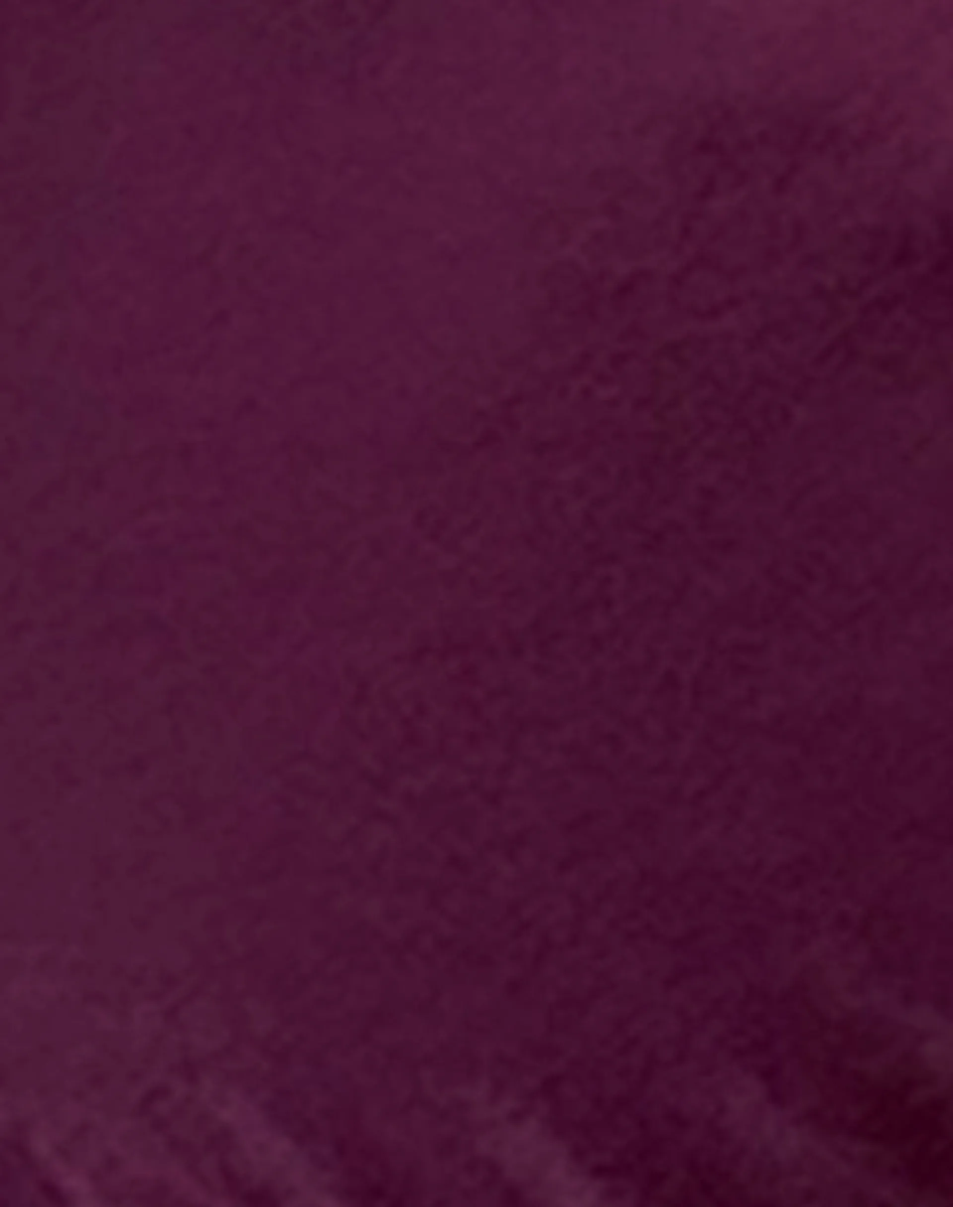 Motel Rocks Swimwear-Leyna Bikini Bottom in Plum Shimmer PlumShimmer