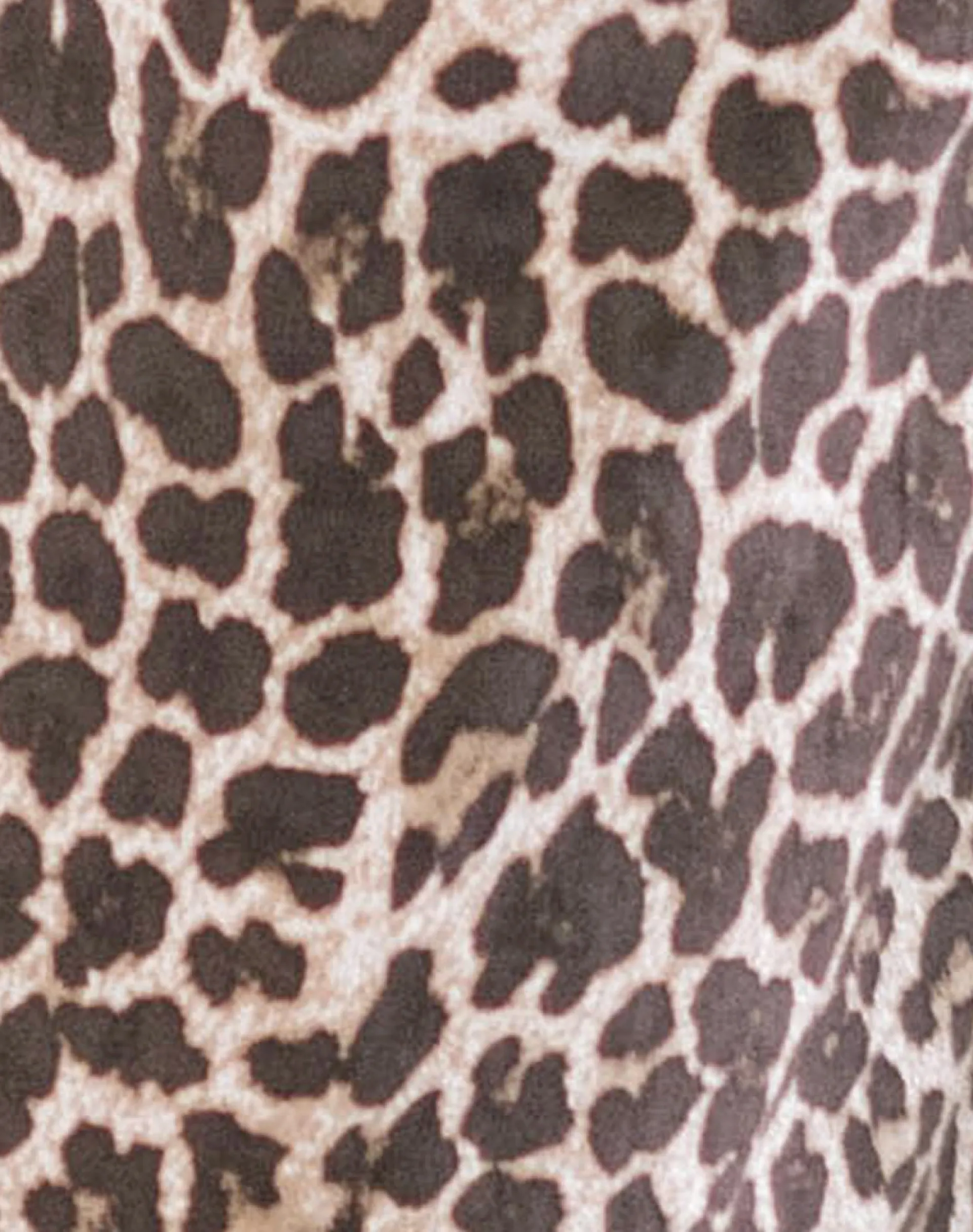 Motel Rocks Wide Leg Pants-Lirura Trousers in Rar Leopard Sandstorm RarLeopardSandstorm