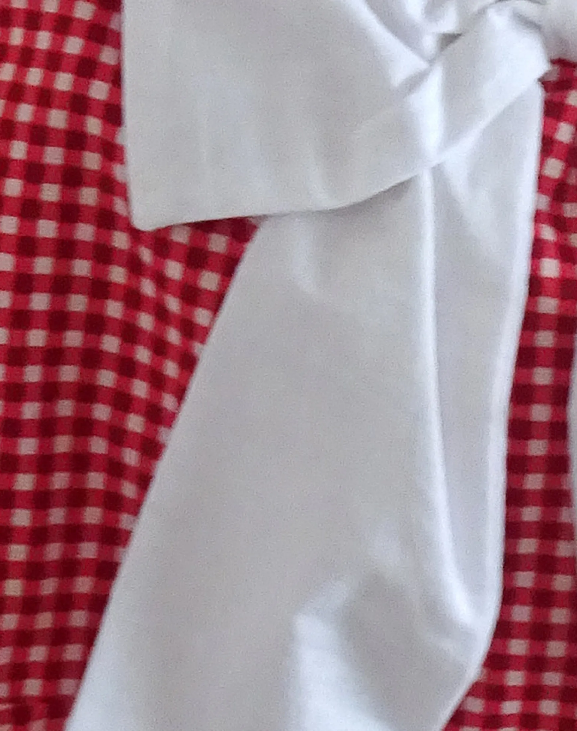 Motel Rocks Accessories-Nagi Bag in Red Gingham with White Bow RedGinghamwithWhiteBow