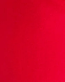 Motel Rocks Swimwear-Nakeela Bikini Bottom in Red