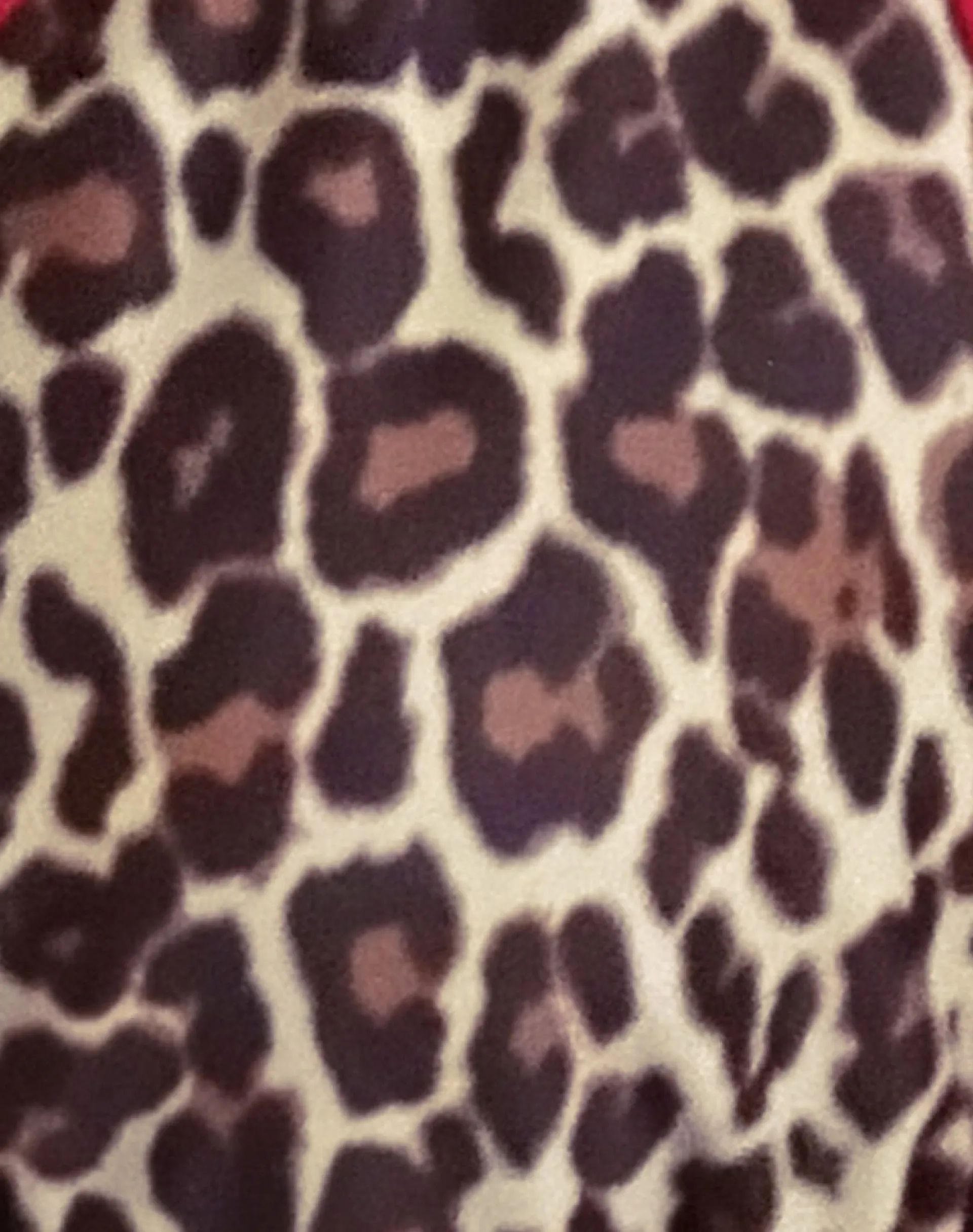 Motel Rocks Swimwear-Pami Bikini Top in Rar Leopard with Contrast Ties RarLeopardwithContrastTies