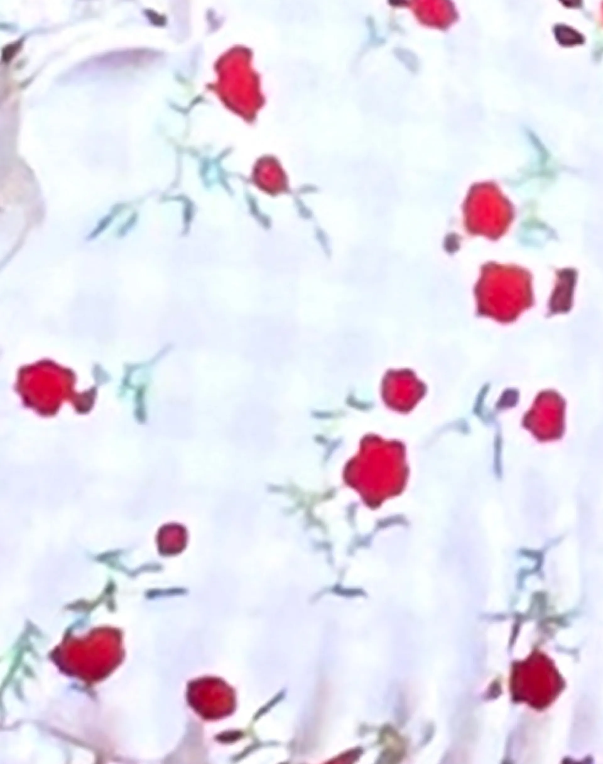 Motel Rocks Swimwear-Pami Bikini Top in Red Floral Beige Gingham with Ruffle RedFloralBeigeGinghamwithRuffle