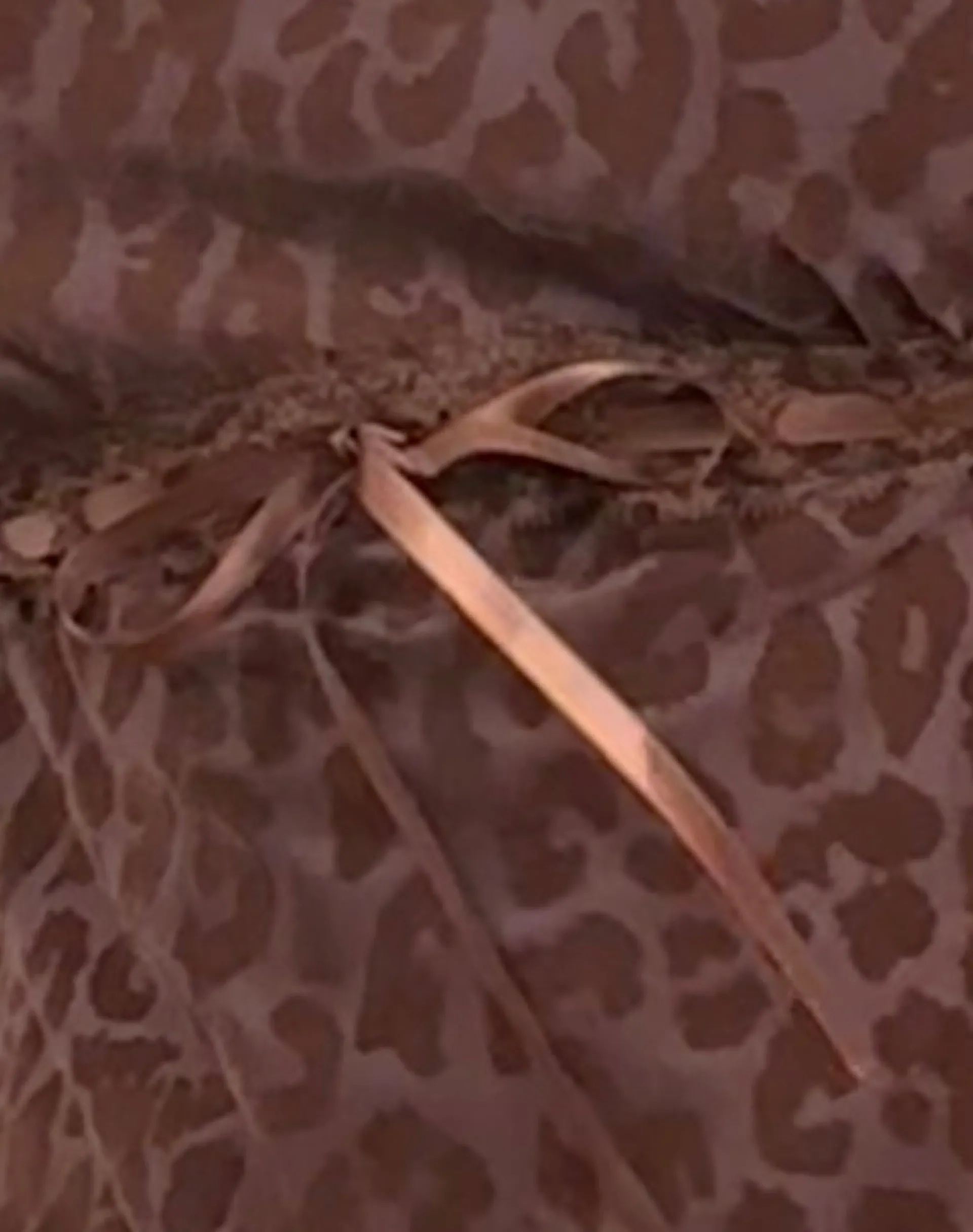 Motel Rocks Printed Tops-Rada Top in Flocked Chocolate Brown Leopard FlockedChocolateBrownLeopard