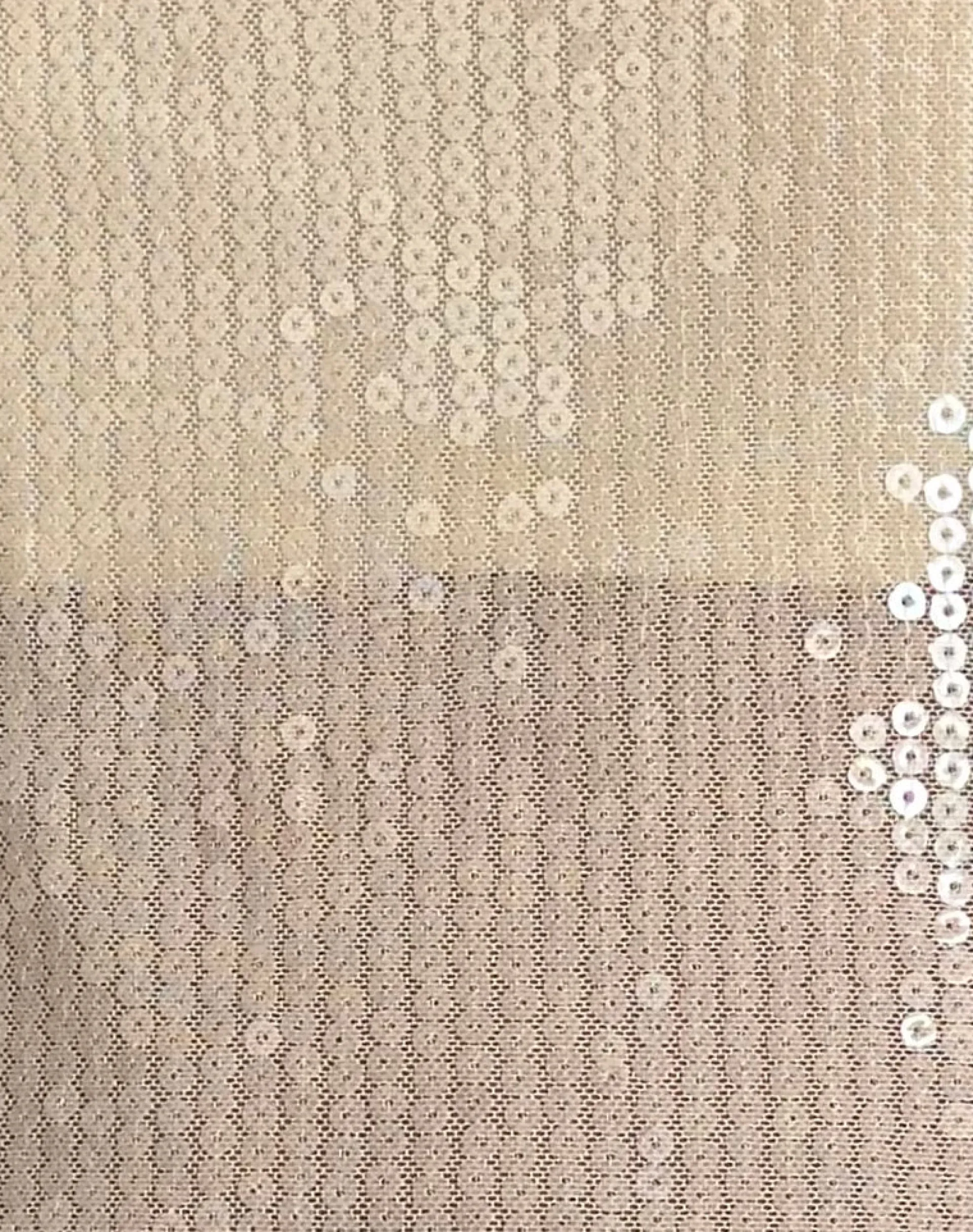 Motel Rocks Bandeau Tops | Sequin Tops-Viksuni Bandeau Top in Nude Clear Tinted Disc