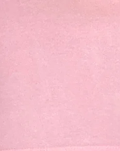 Motel Rocks Basics | Basic Tops-Xiwang Crop Top in Ballet Pink BalletPink